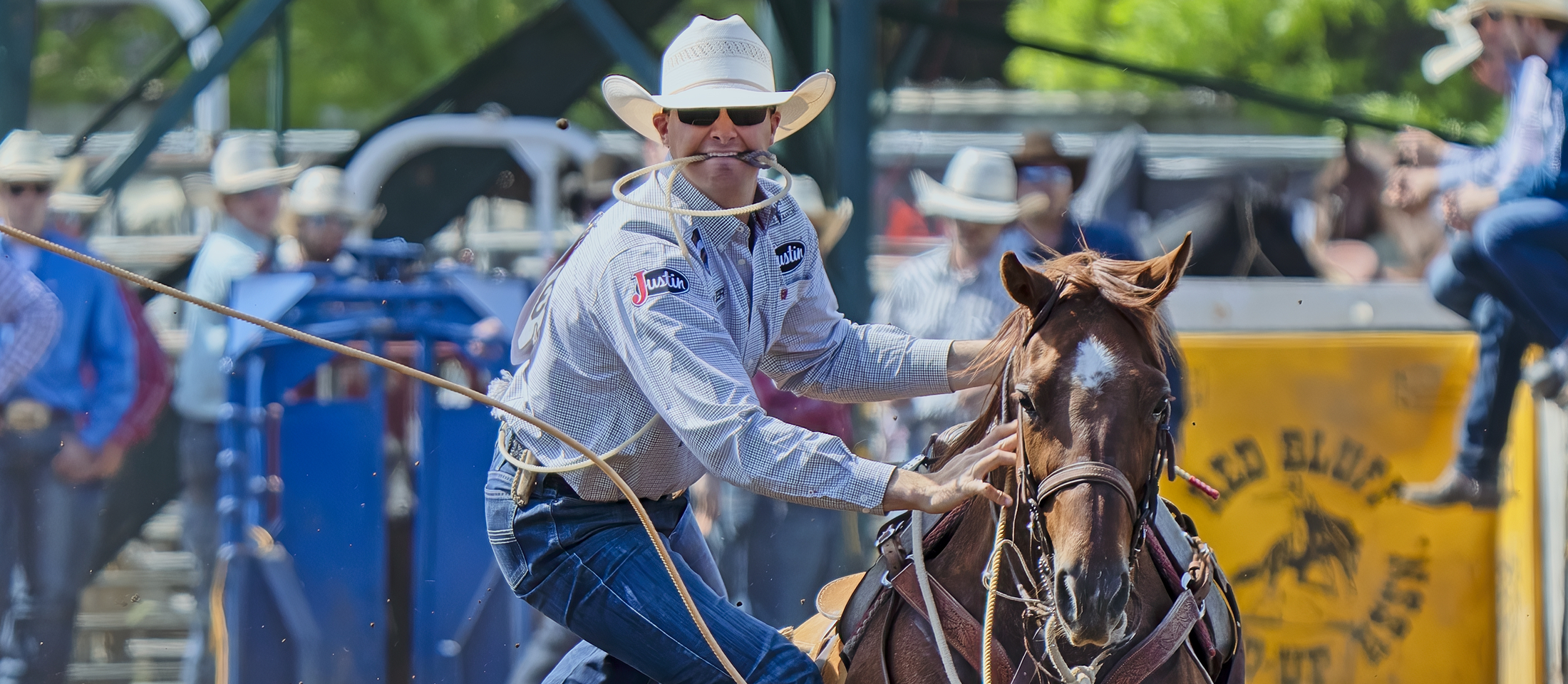 Chet Weitz lleva un sombrero de paja y desmonta de su caballo marrón con un hilo de cerdo en la boca.